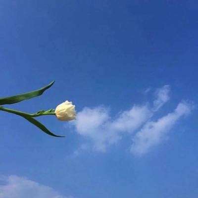 天灵诀手游果盘版下载